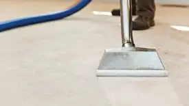 Carpet cleaning wand head gliding over a light carpet during hot-water extraction, Savannah, GA.