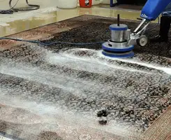 Professional rug cleaning with a rotary floor machine and shampoo foam, deep-cleaning an area rug, in Savannah, GA.
