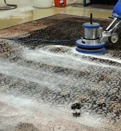 Professional rug cleaning with a rotary floor machine and shampoo foam, deep-cleaning an area rug Savannah, GA.
